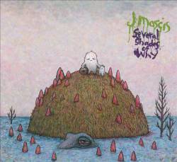 J Mascis : Several Shades of Why